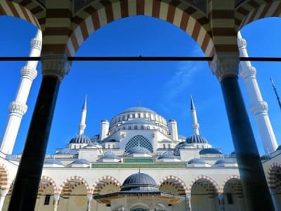 Activity image
