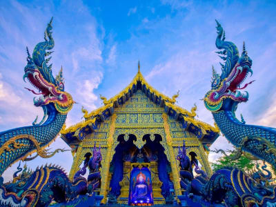 Activity image