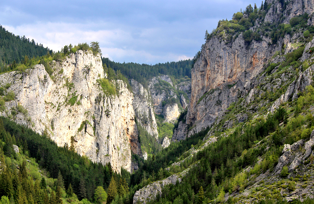 Day trip image
