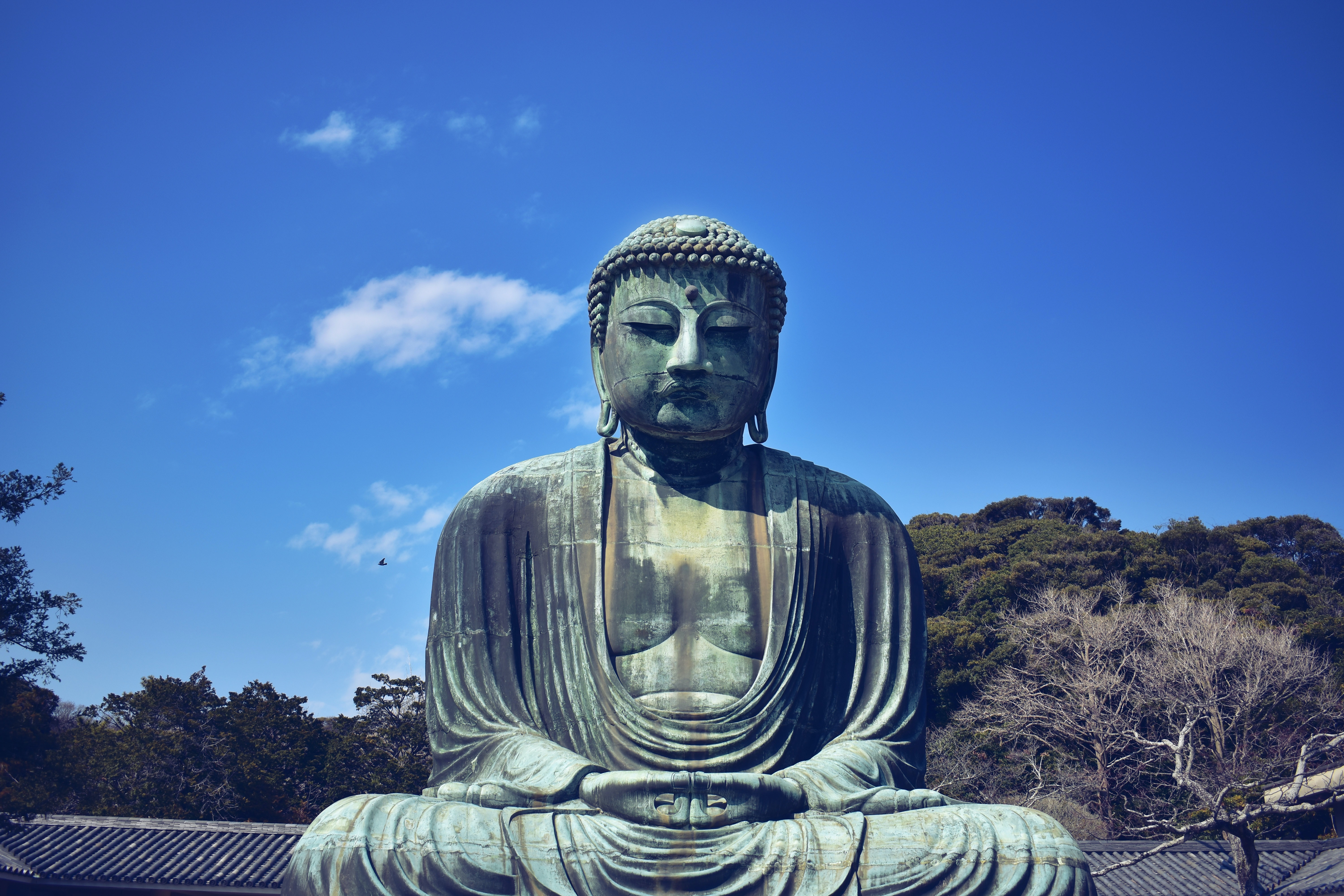 Day trip image