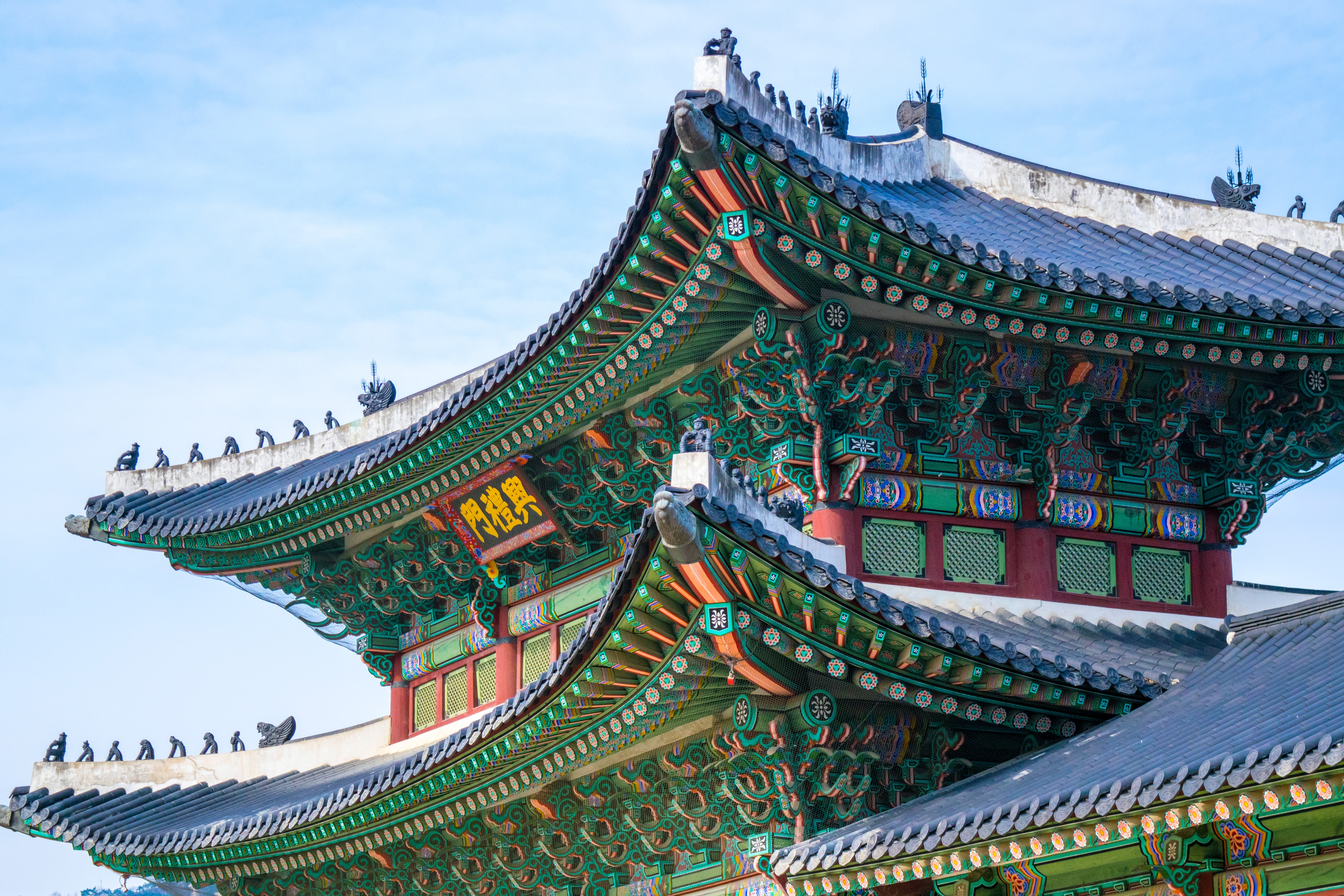 Day trip image