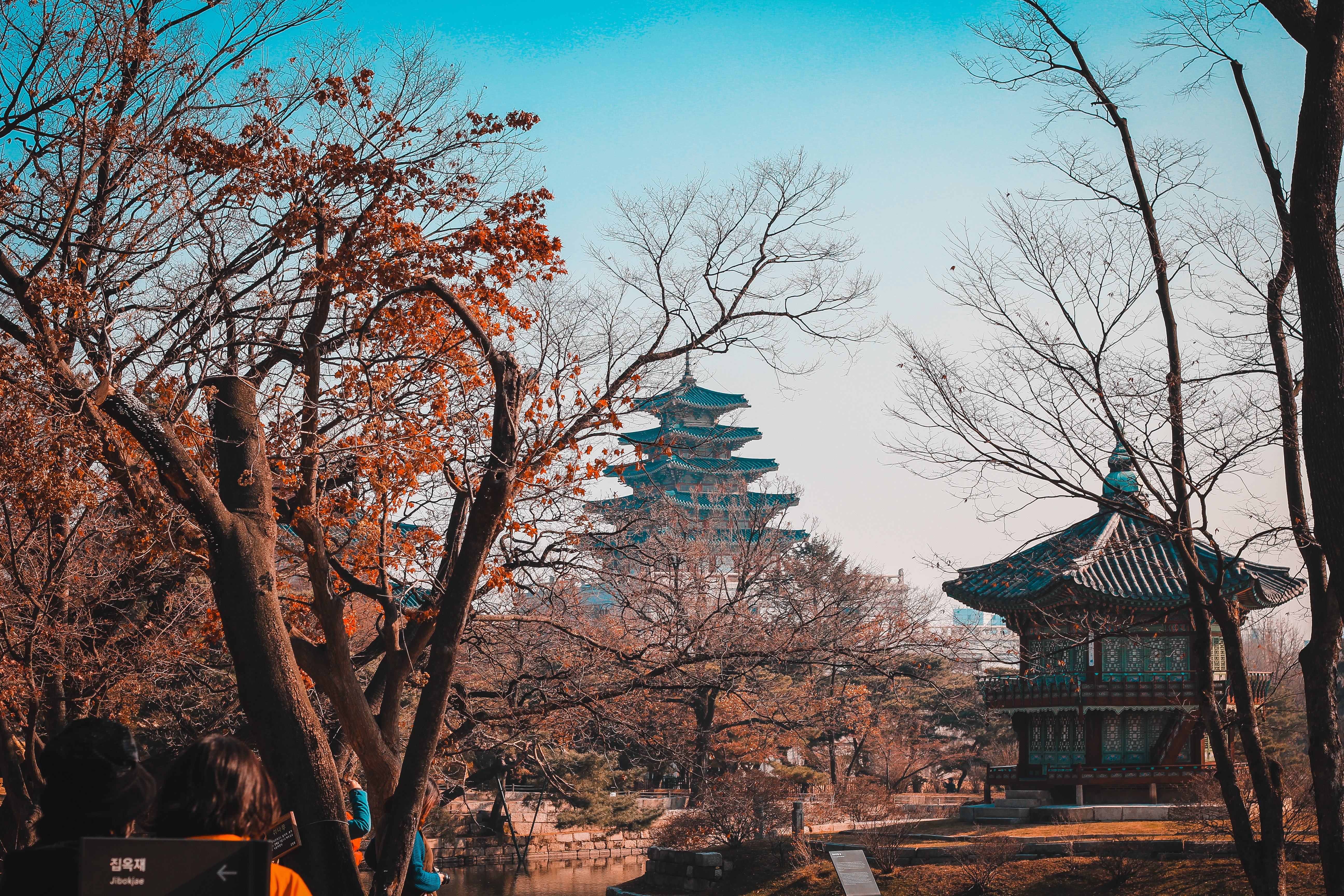 Day trip image