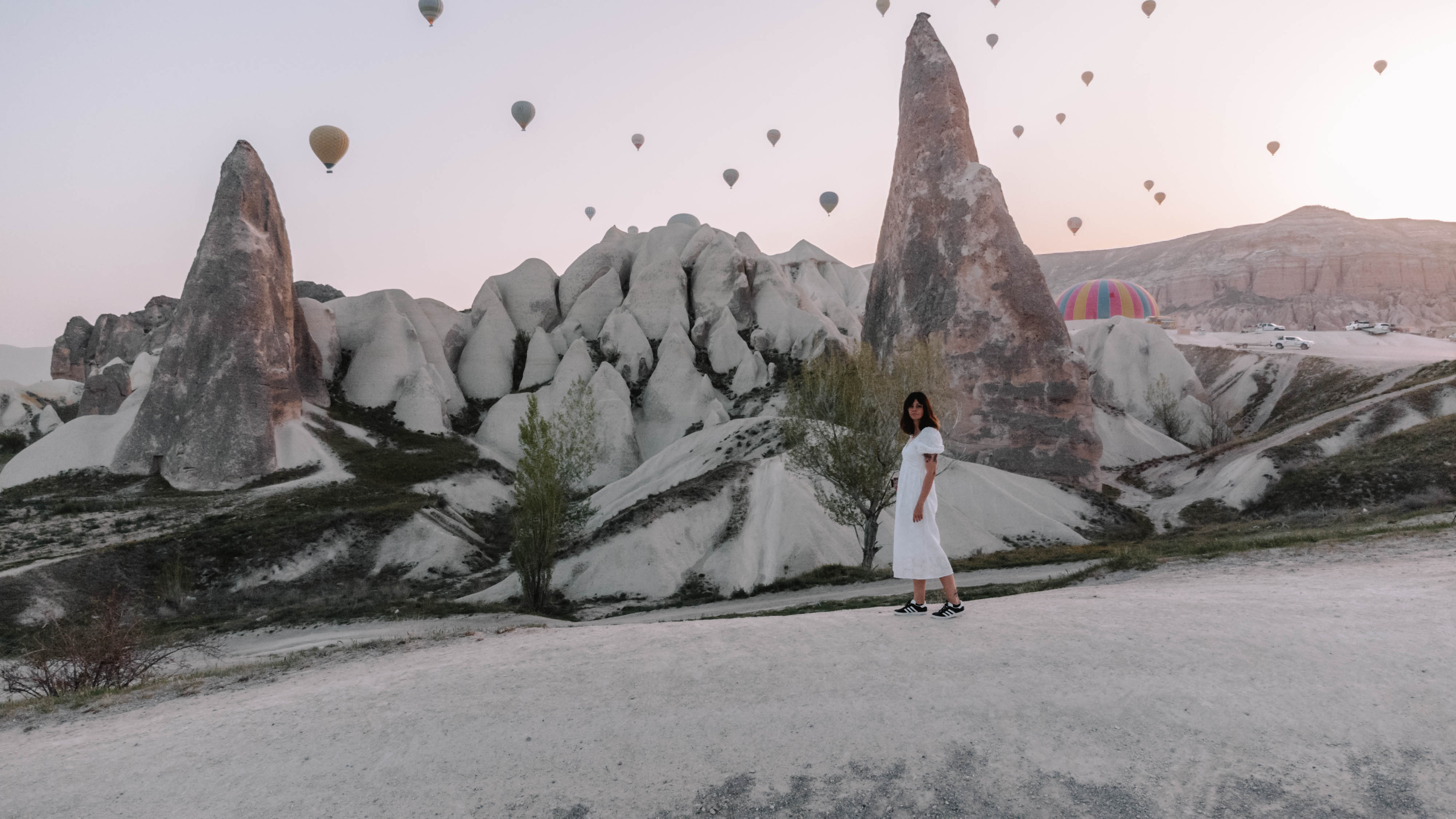 Day trip image