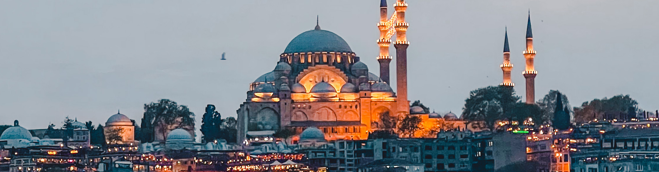 Day trip image