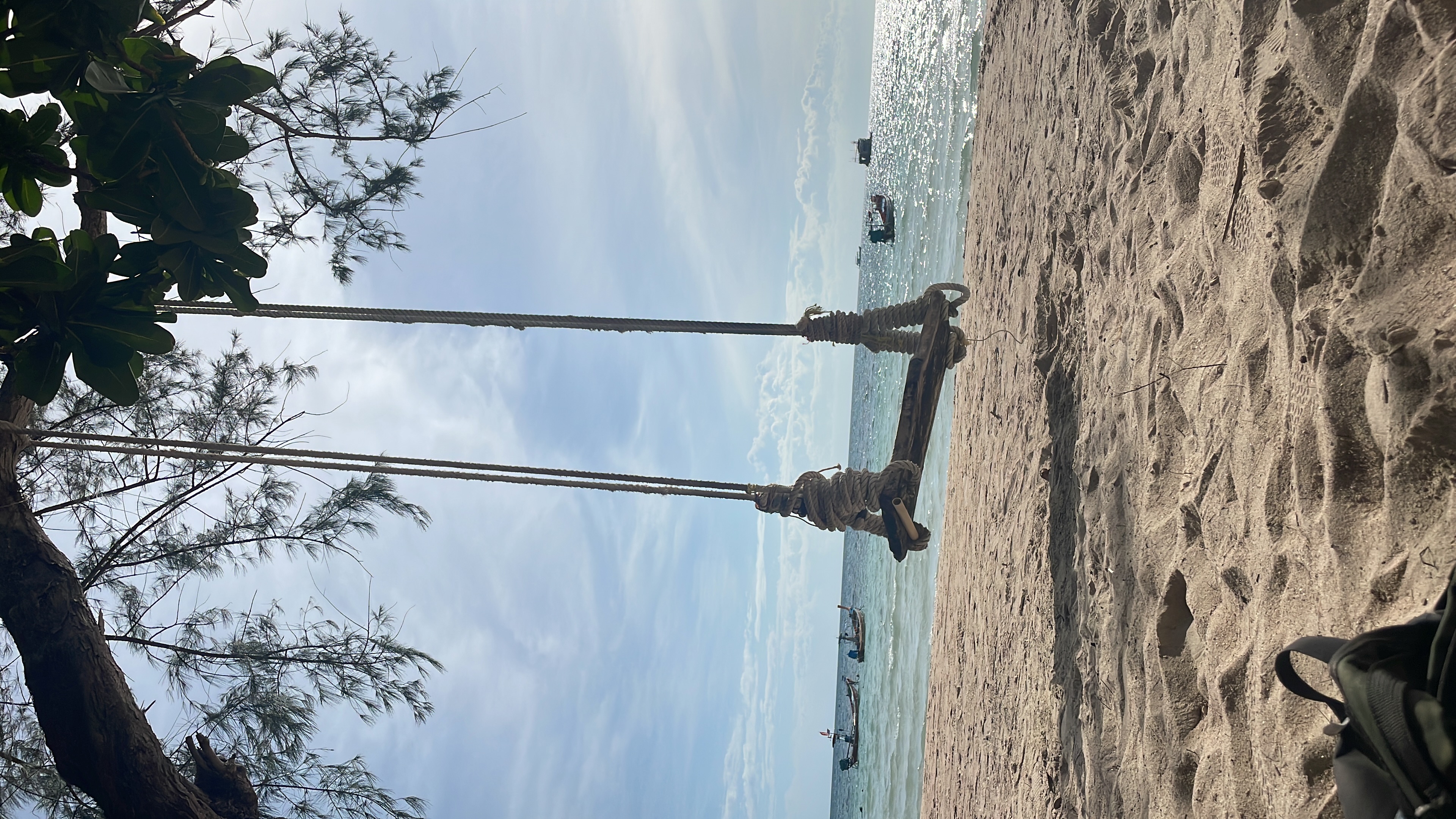 Day trip image