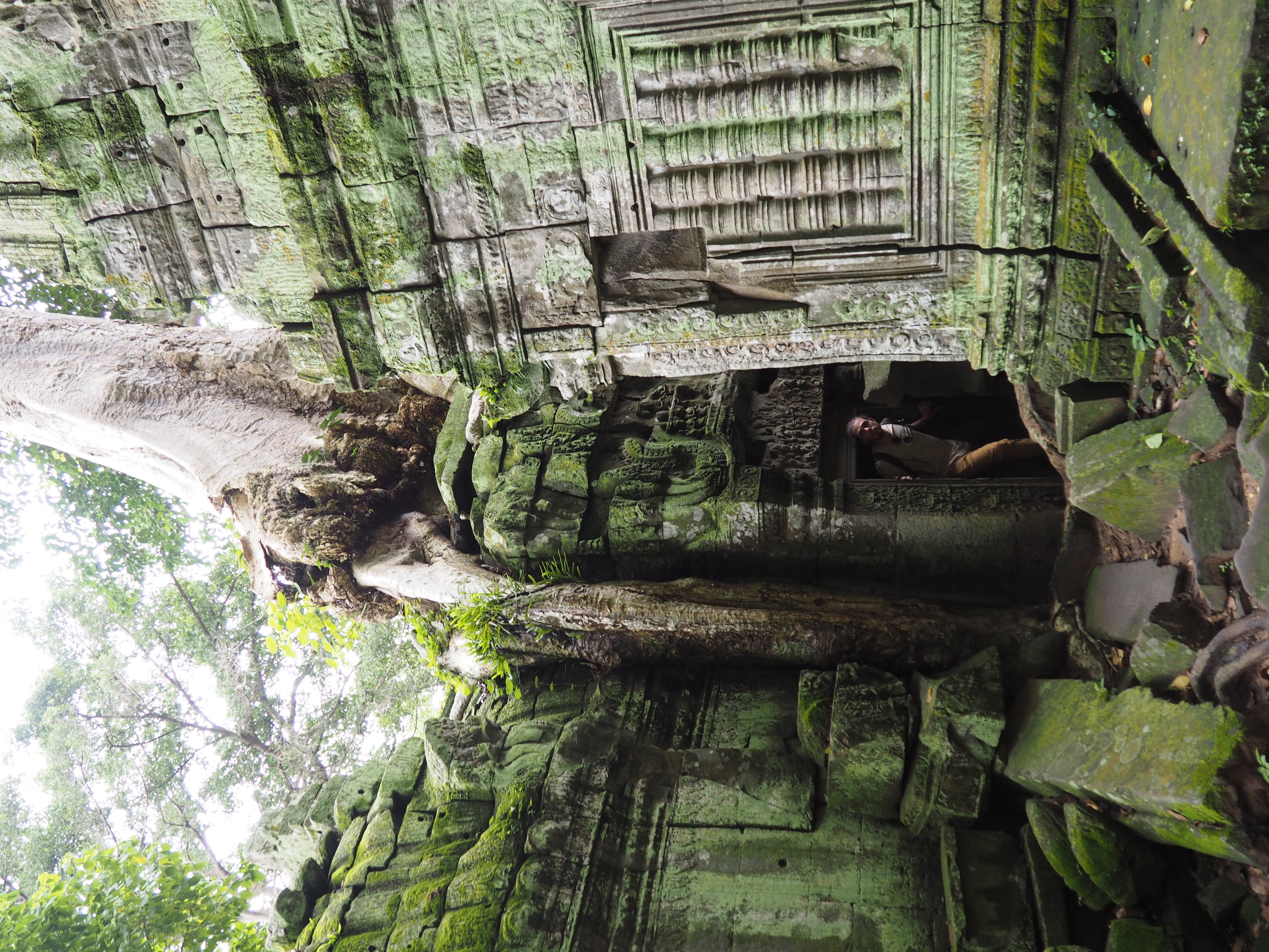 Day trip image