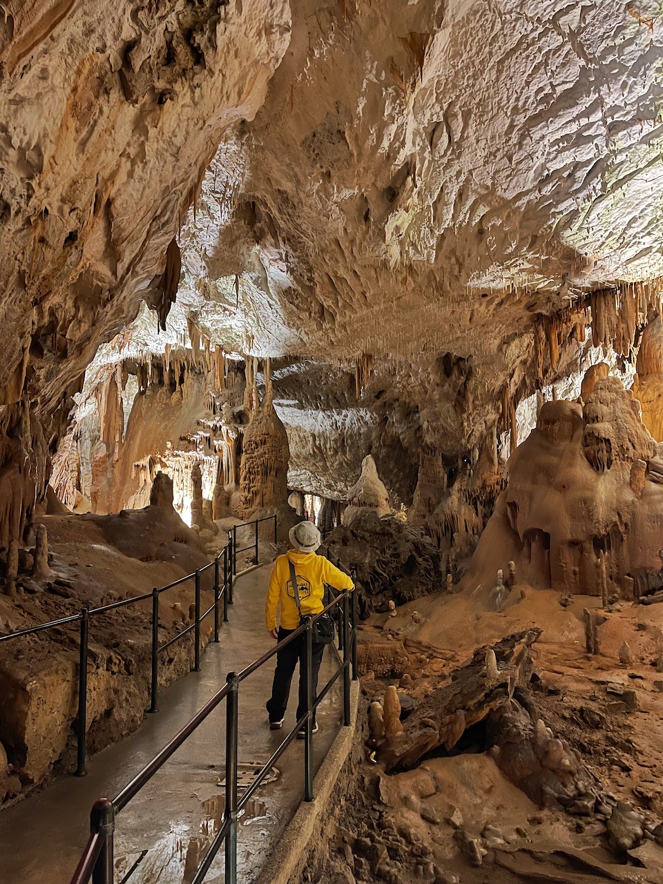 Day trip image