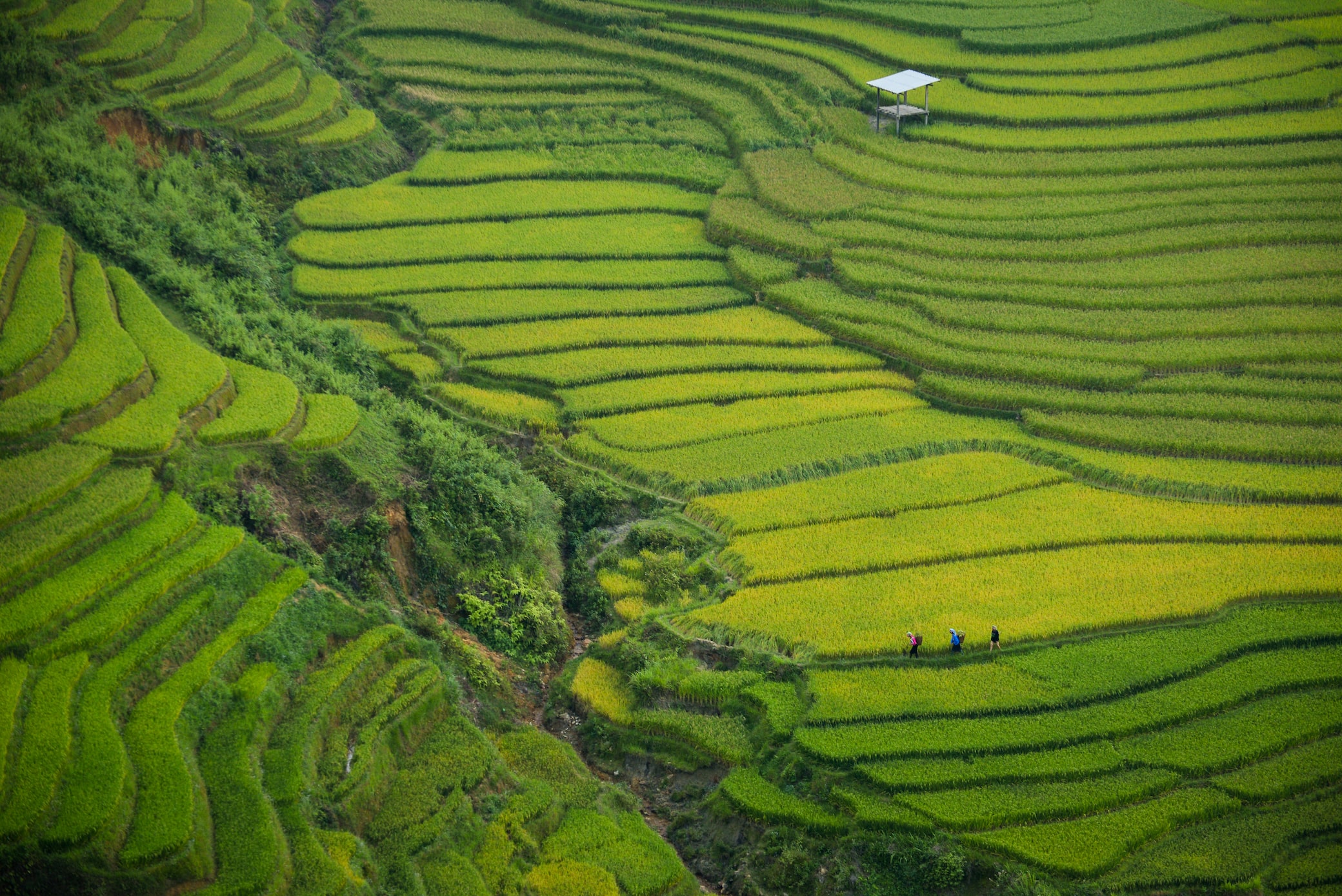 Vietnam y Camboya: Hanoi, Halong, el centro de Vietnam y Siem Reap en 13 días hero image
