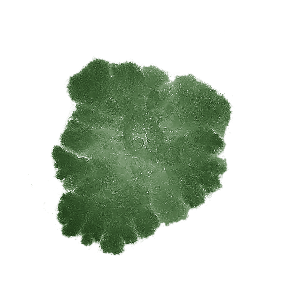 Seed • The Evolution of Probiotics