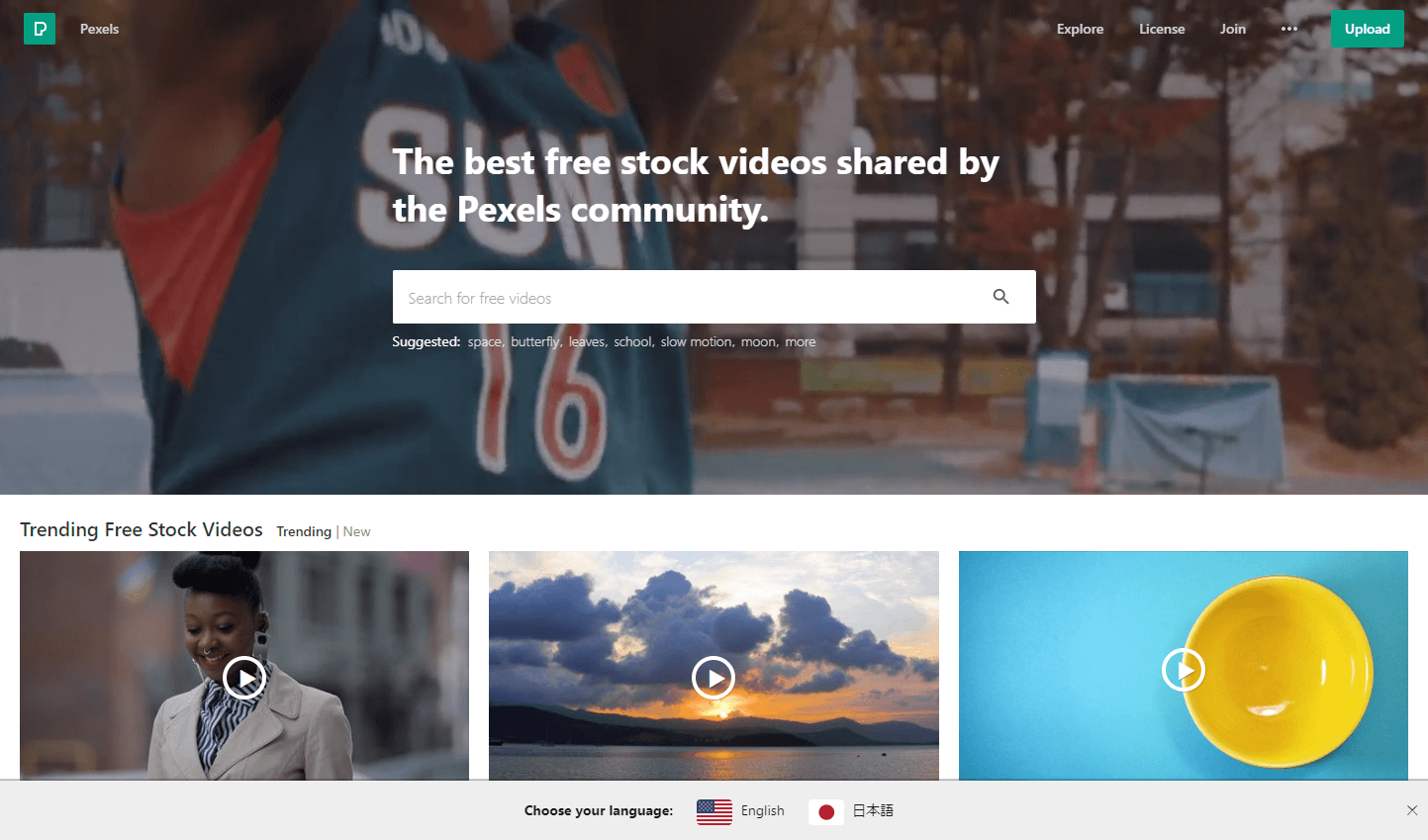 Pexels Videos