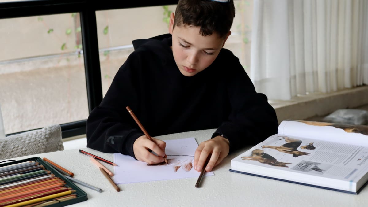 Boy drawing at his desk with colored pencils