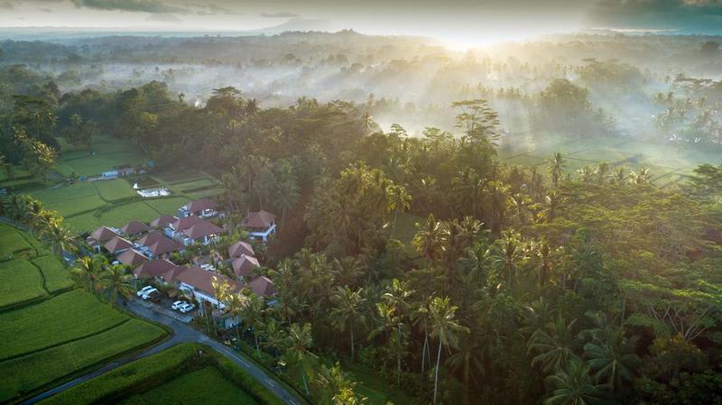 Dedary Kriyamaha Villas Ubud - 