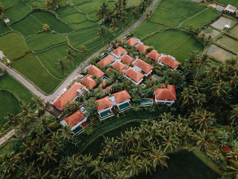 Dedary Resort Ubud - 