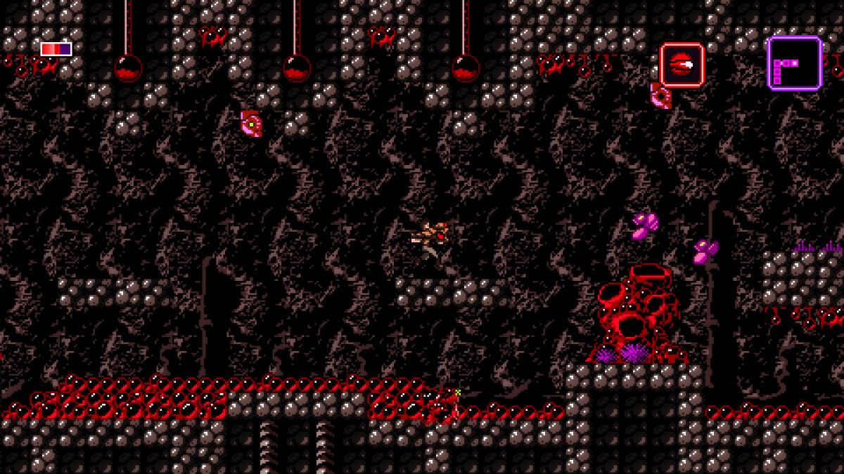 Screenshot 12