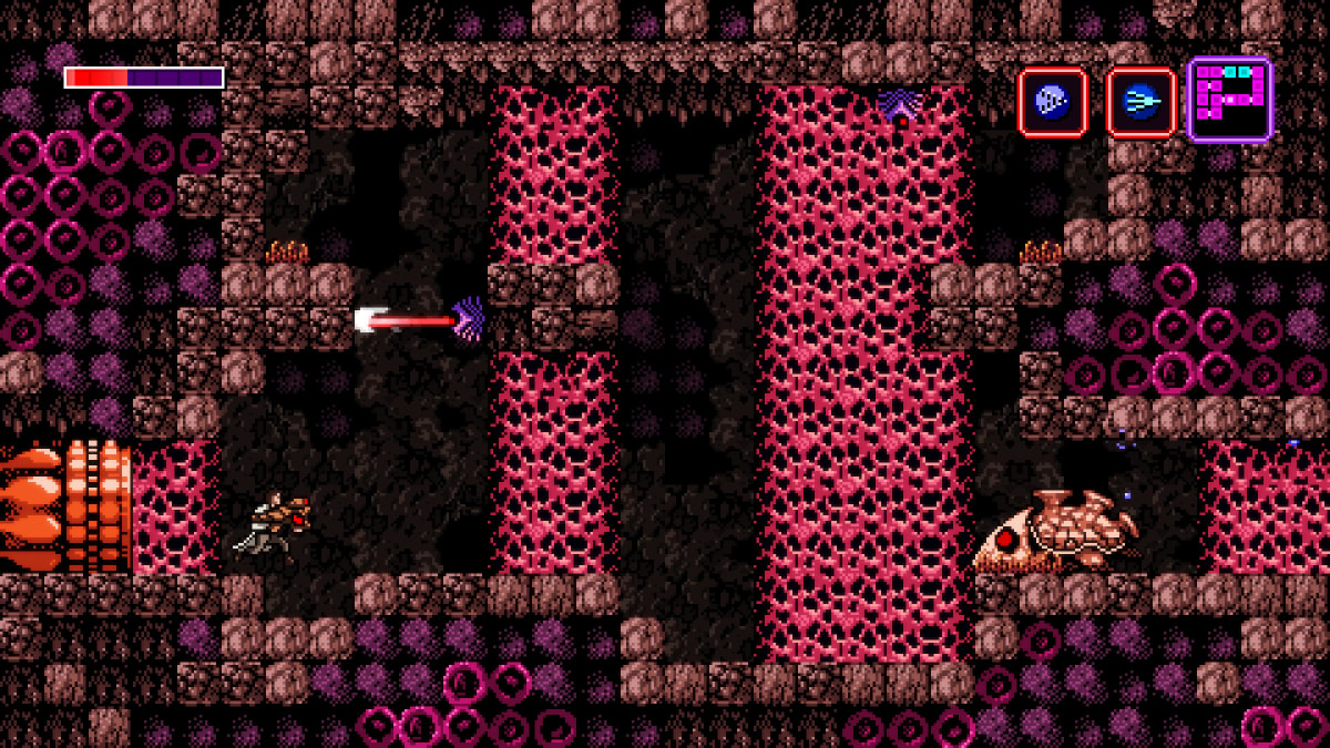 Screenshot 10