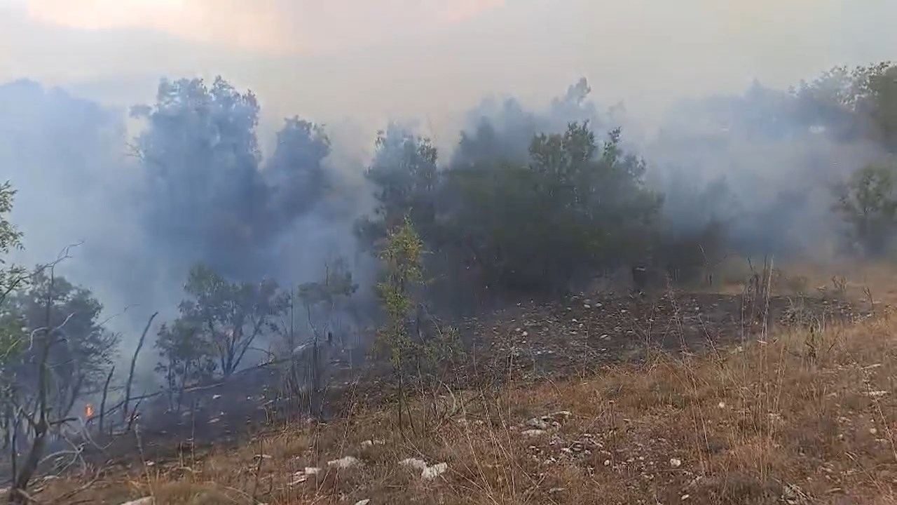 Како изгледаше состојбата со пожарите изминатото деноноќие