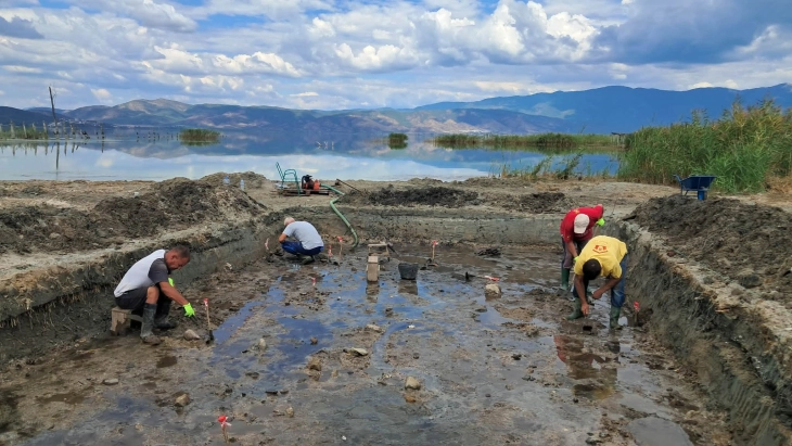 Продолжуваат истражувањата на праисториската наколна населба во Дојран