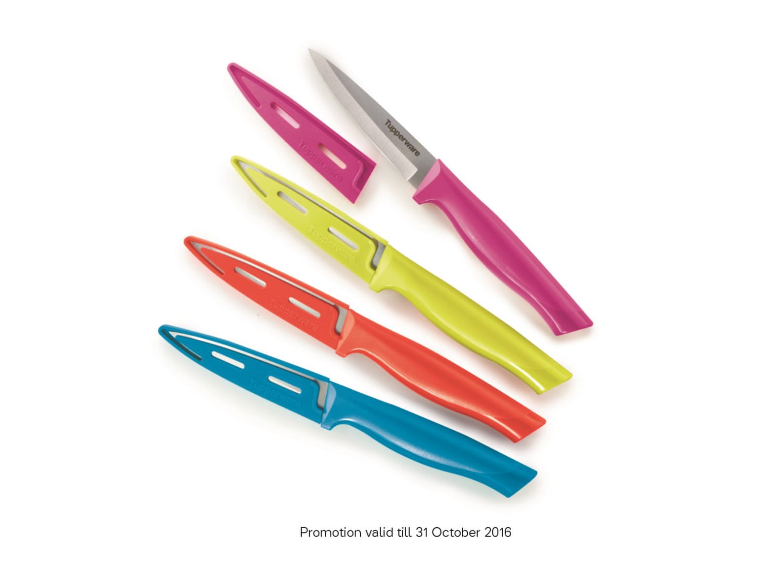 Paring Knife (1) - Featured in Catalogue 7
