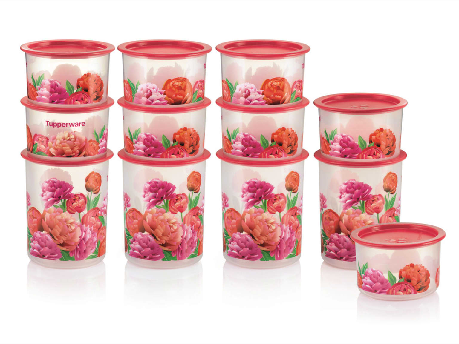 Blooming Peonies One Touch Set