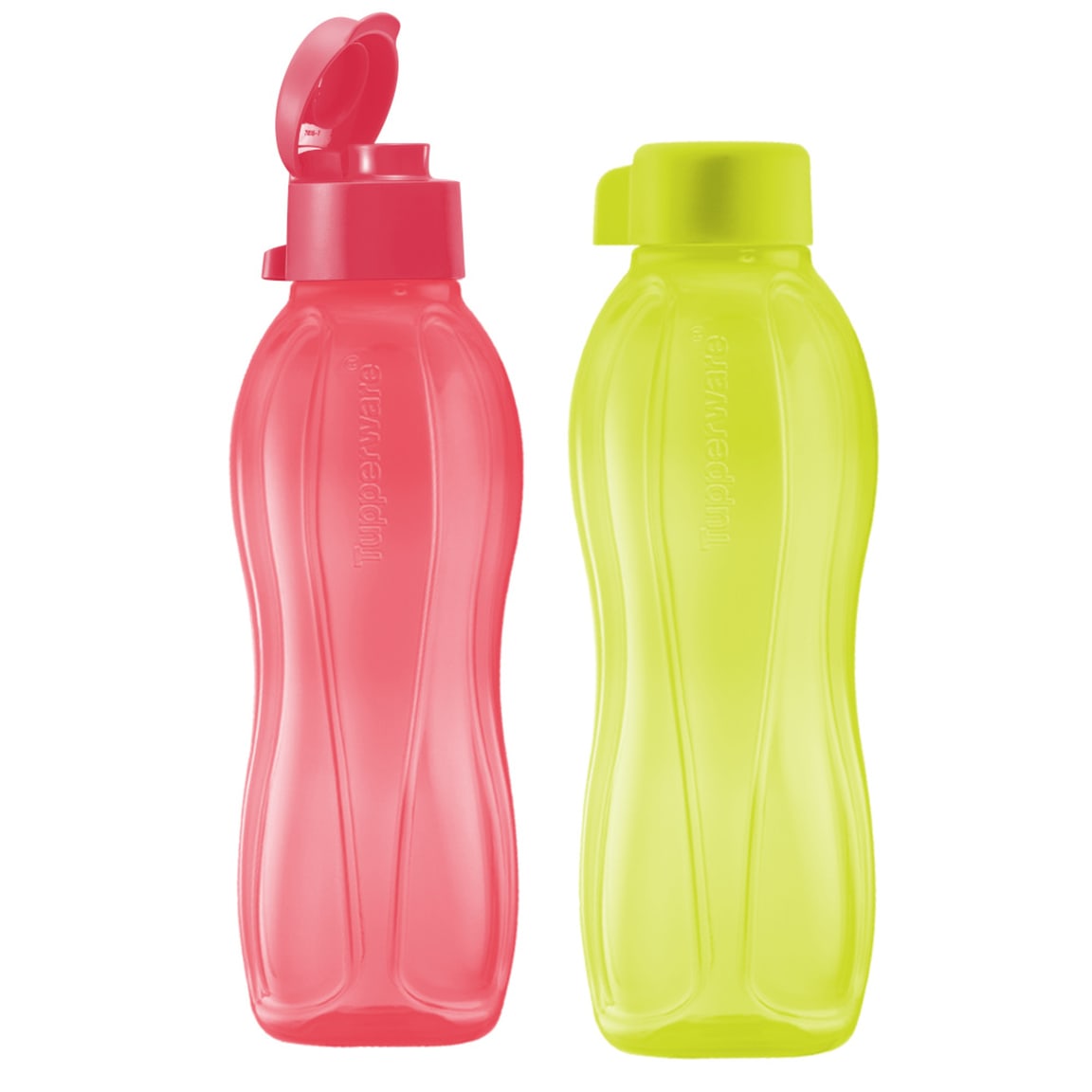 Eco Bottle (2) 500ml