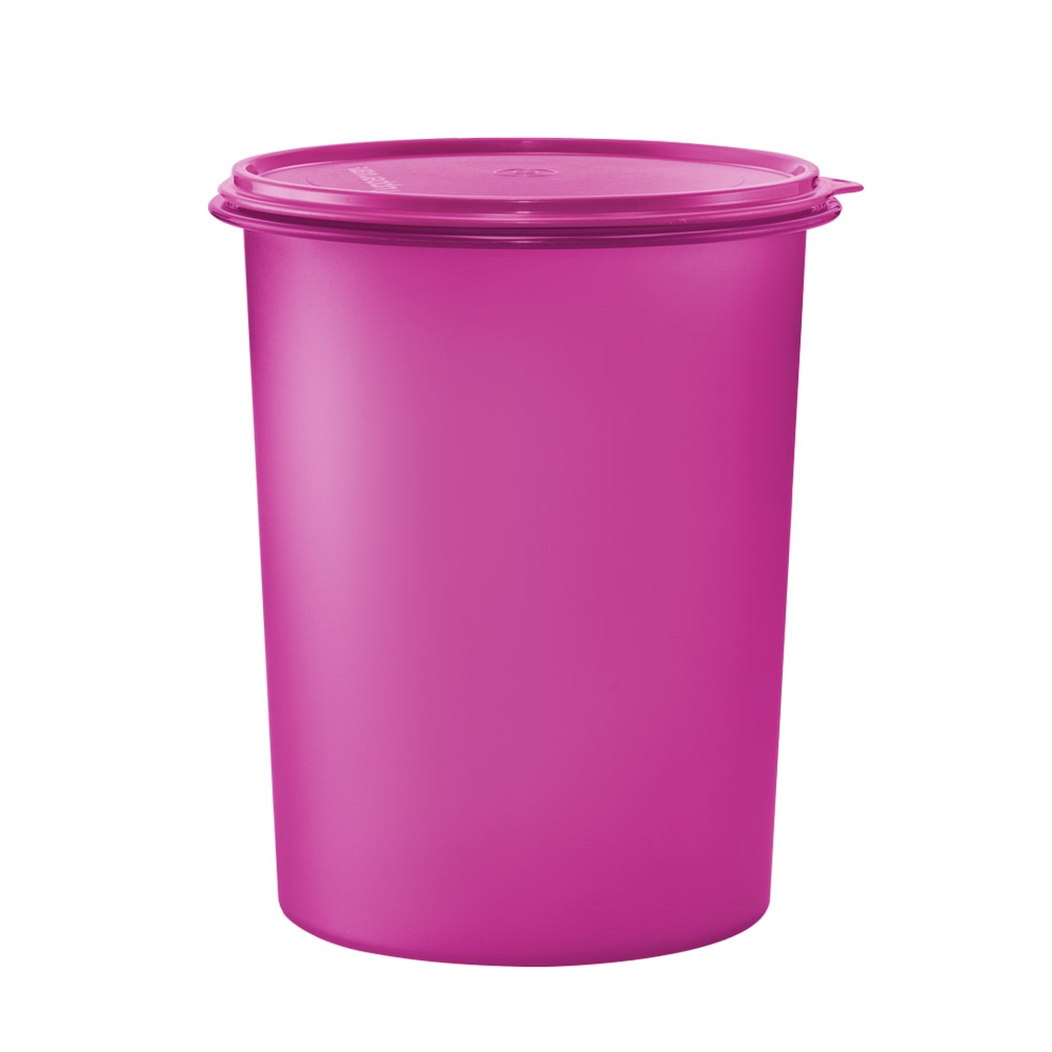 Tall Canister (1) 10L - Crocus