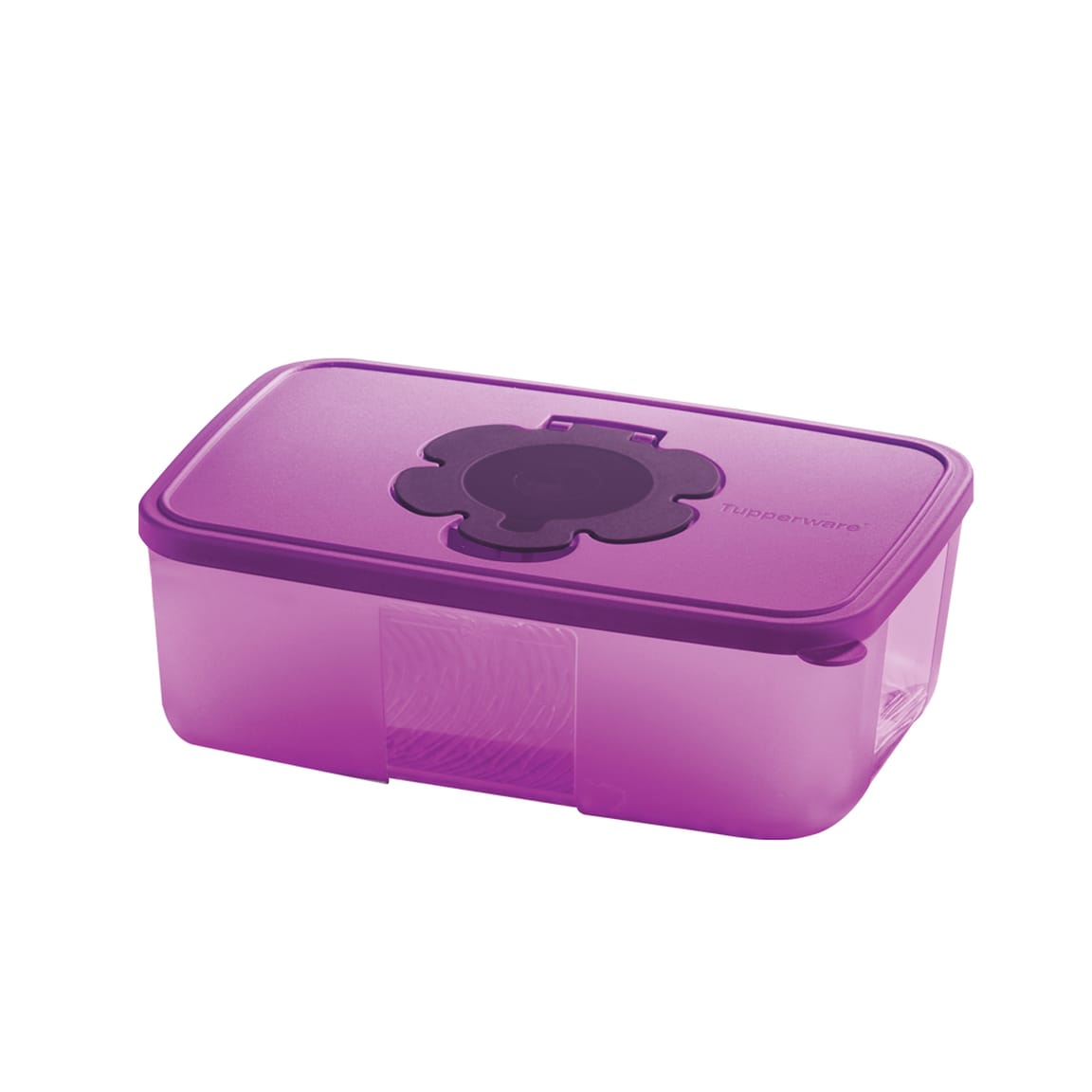 PWP: Purple Royale Tissue Box (1) 1.7L