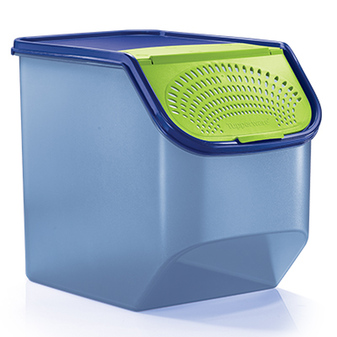 GarlicNAll Keeper (1) 5.5L Tupperware Plus