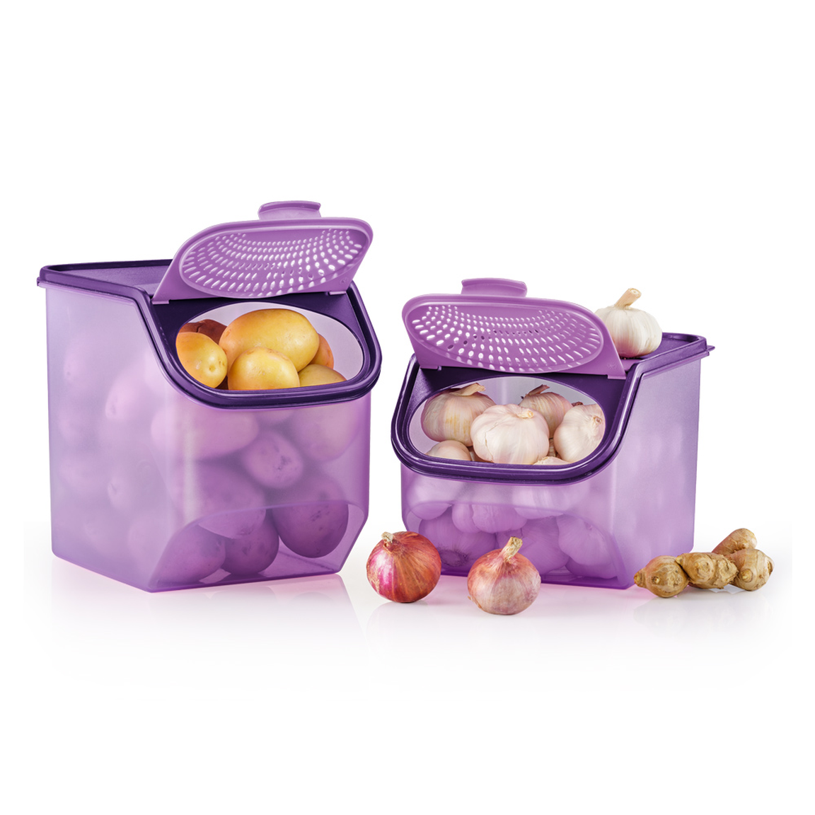 Garlic N All Keeper Set Tupperware Plus