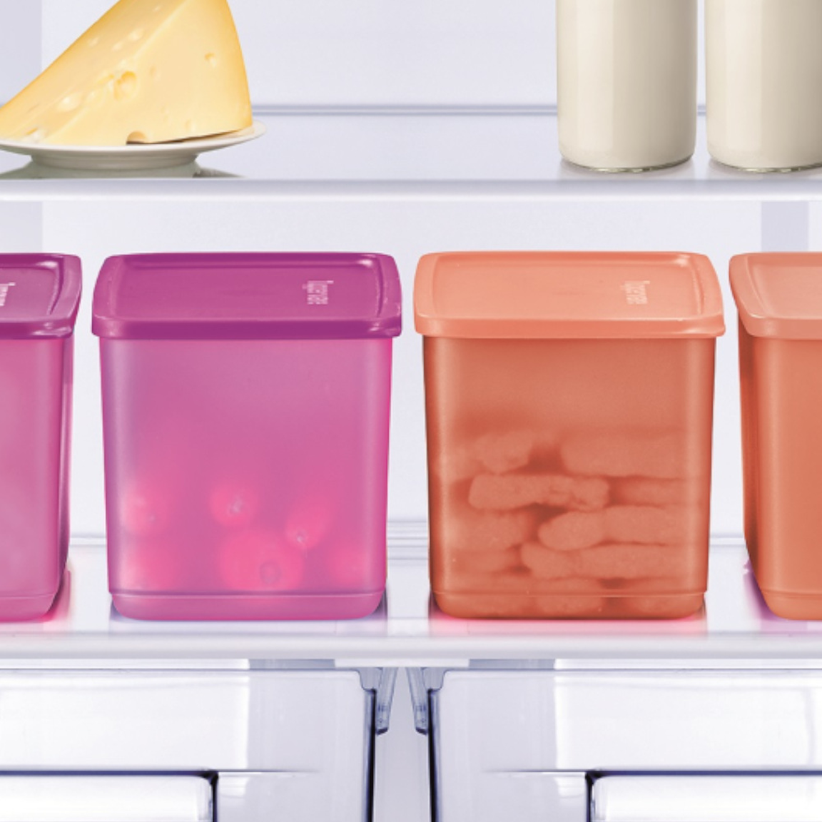 Big Box O' Freshness (4) 3.1L | Tupperware Plus