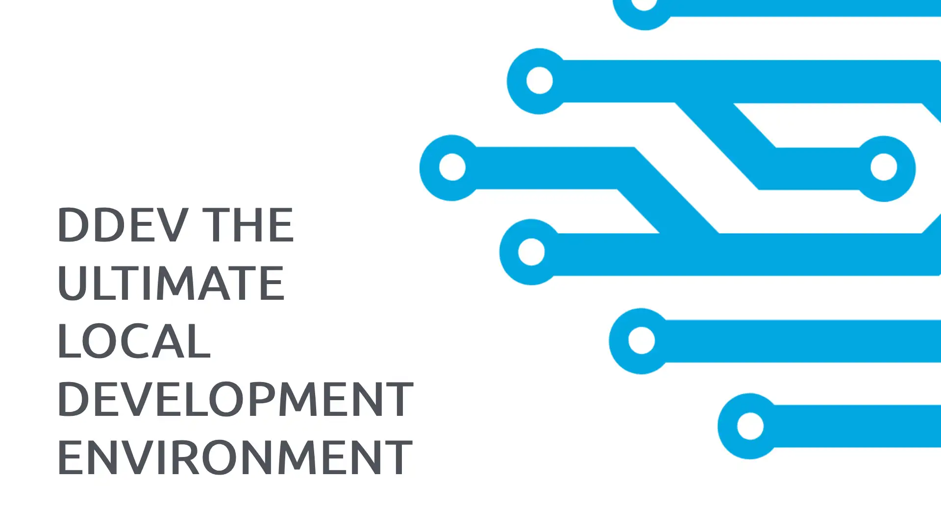 Why DDEV? The Ultimate Local Development Environment for Drupal