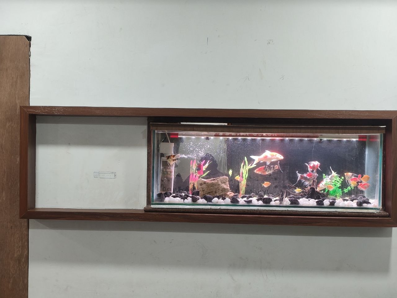 Bespoke kgsdc2lfe8dhplv1svhb by Sharma Furniture