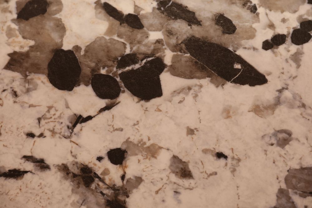 Snow Mountain Silver Fox — Image 4