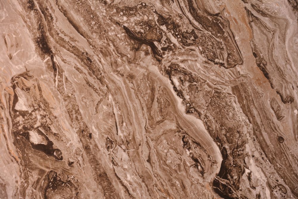 Venice Brown — Image 1