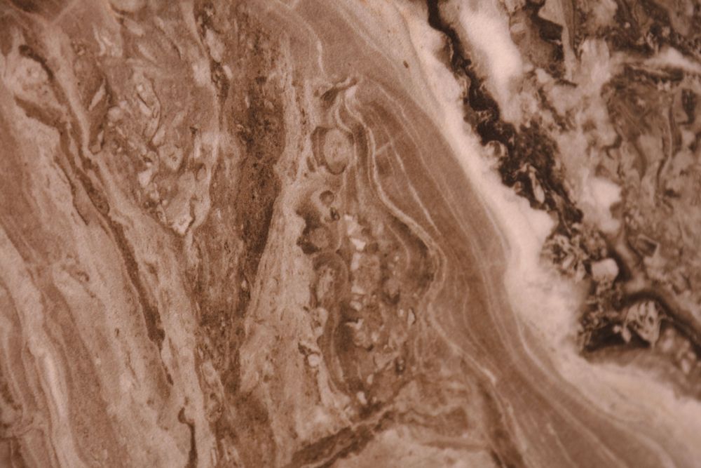 Venice Brown — Image 2