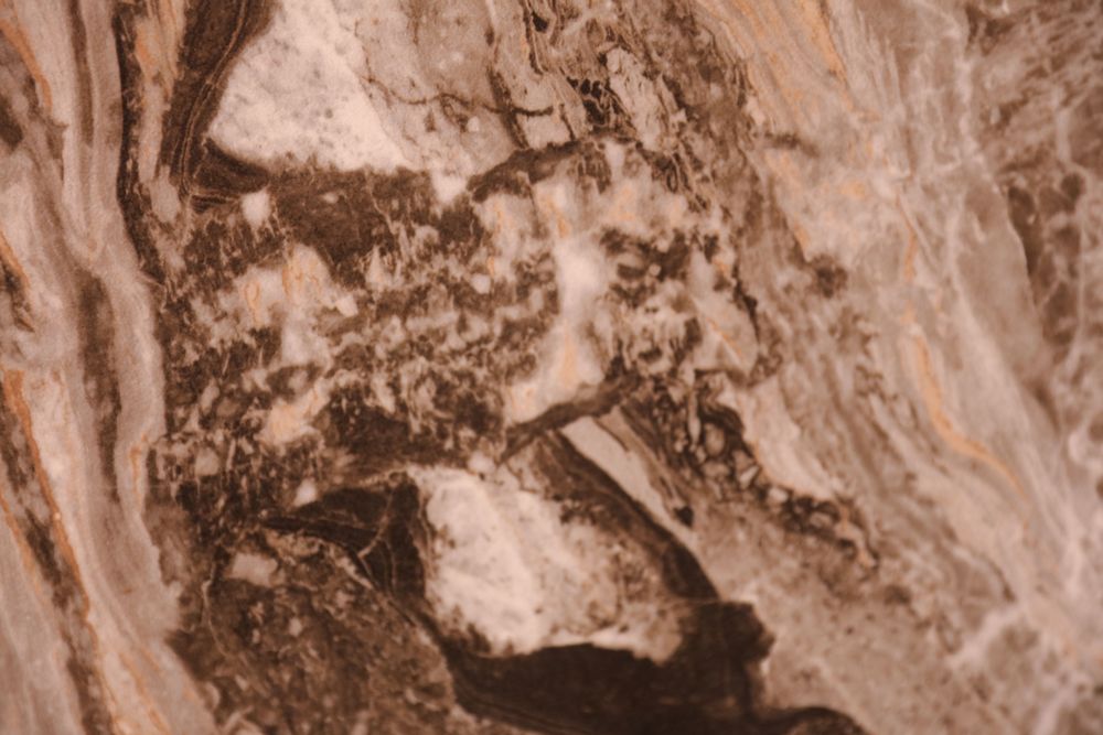 Venice Brown — Image 3