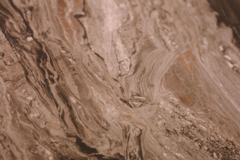 Venice Brown — Image 4