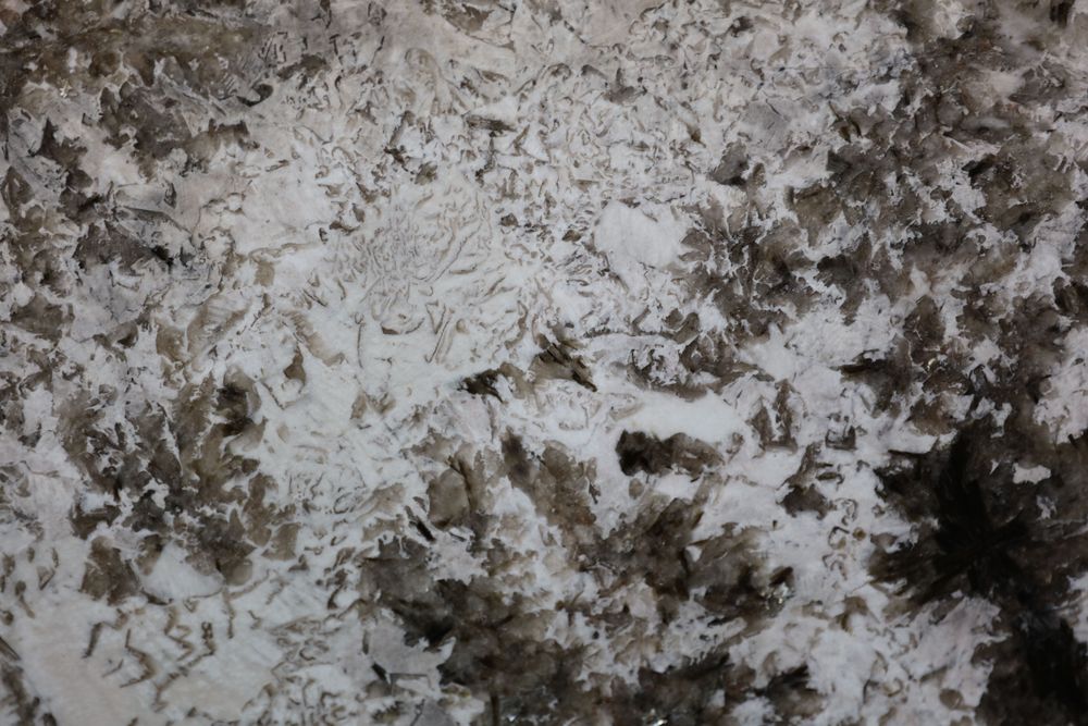 Snow Mountain Silver Fox Marble — Image 3