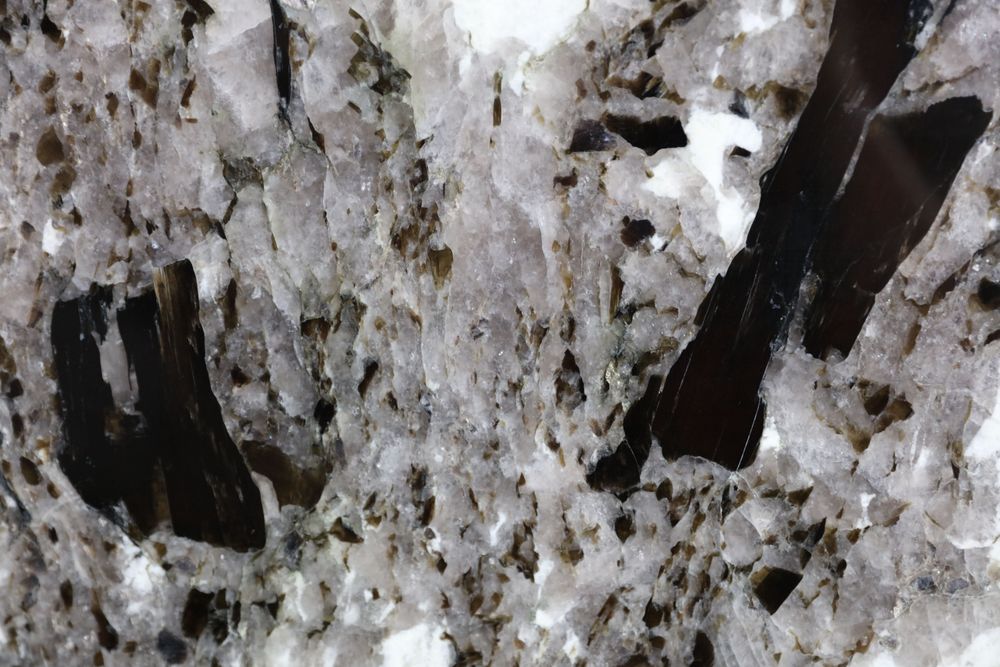 Pandora White — Image 4