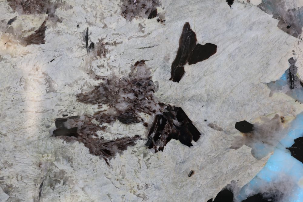Pandora 1 — Image 3