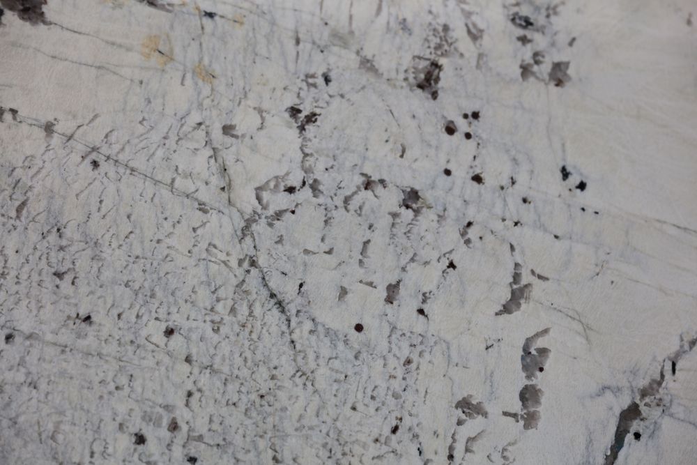Pandora 1 — Image 5