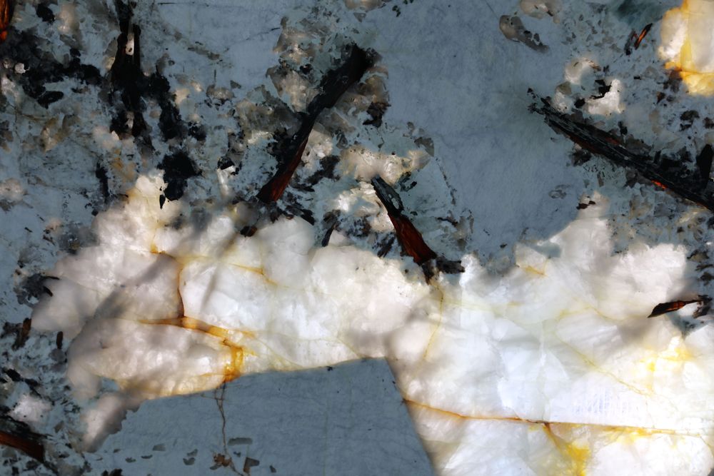 Pandora 2 — Image 3