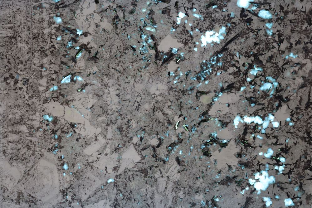 Pandora 11 — Image 1