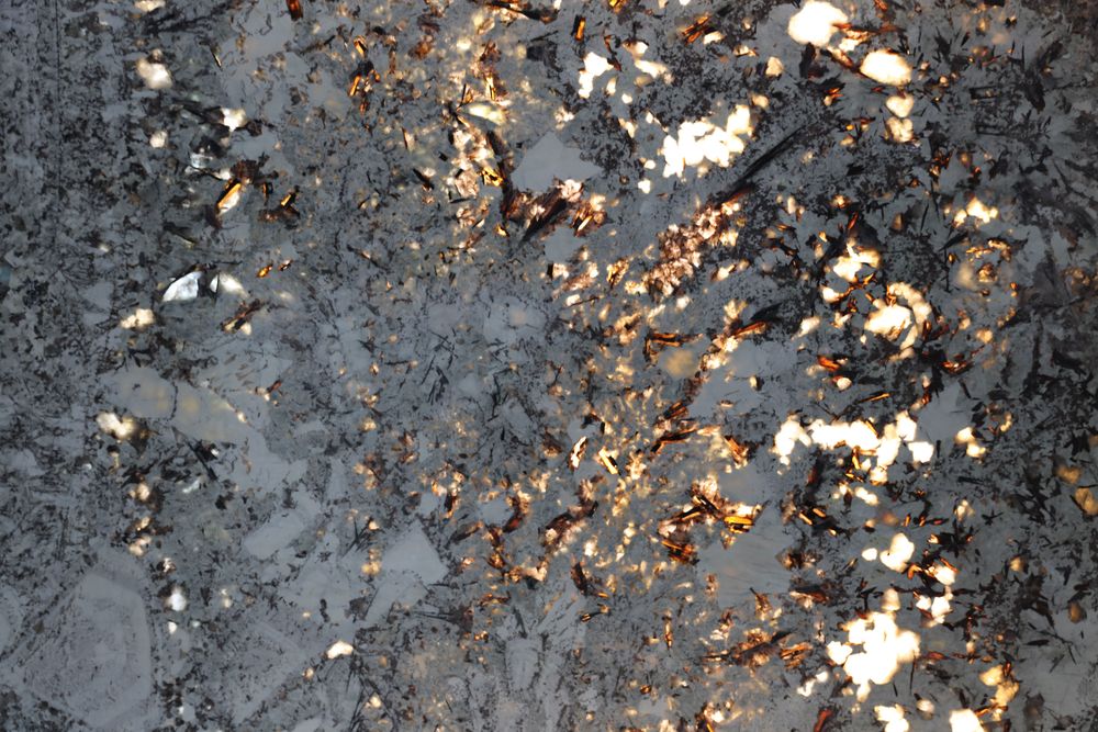 Pandora 11 — Image 4