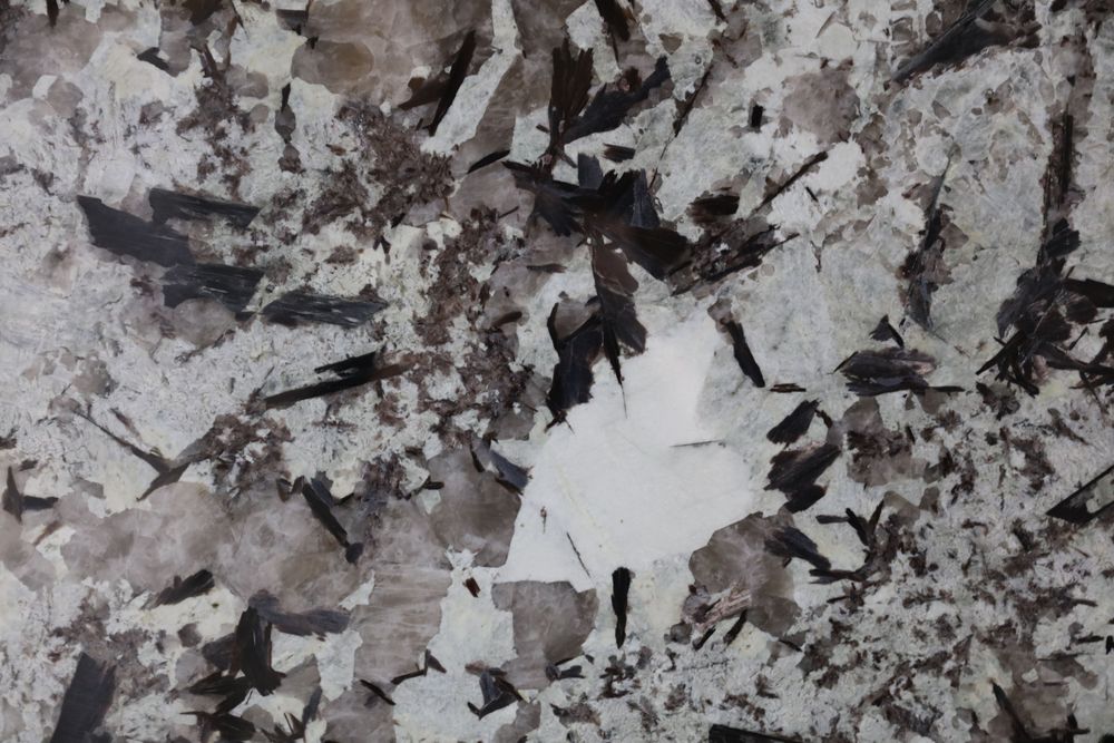 Pandora 11 — Image 7
