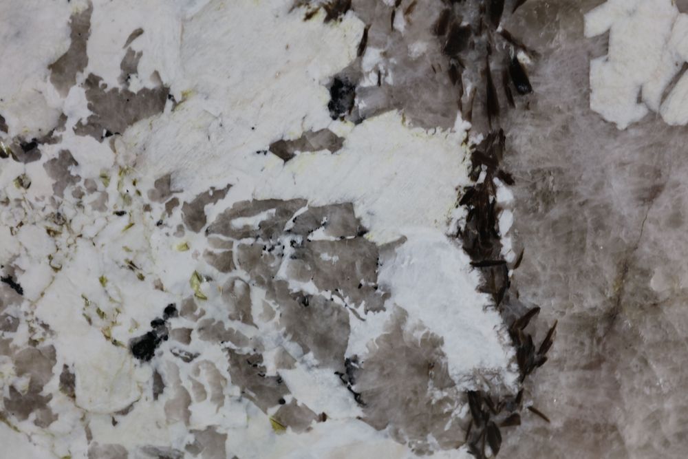 Pandora 12 — Image 2
