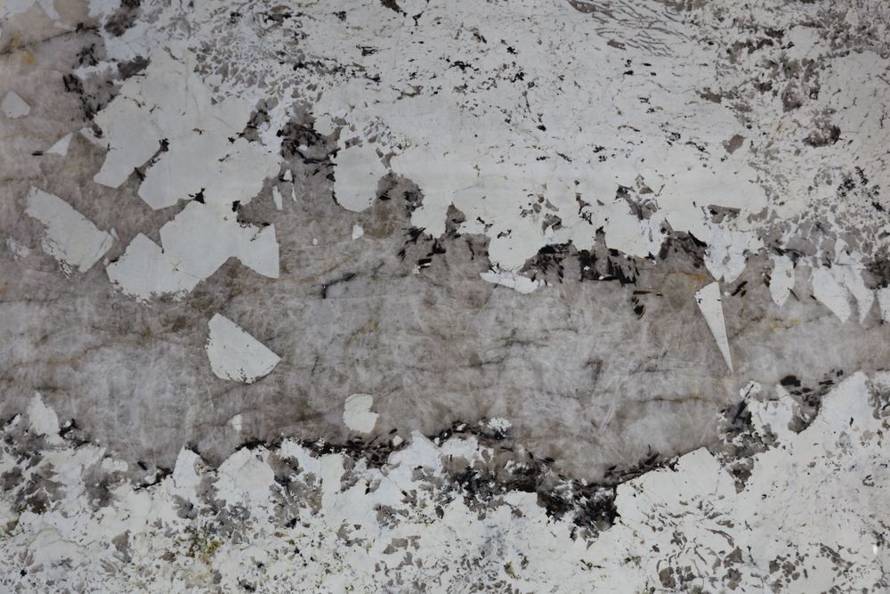 Pandora 12 — Image 4