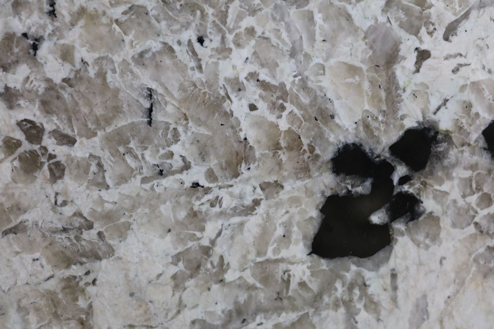 Pandora 14 — Image 3