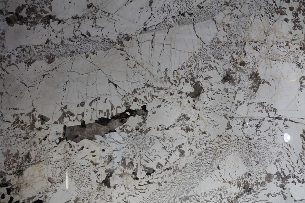 Pandora 16 — Image 4