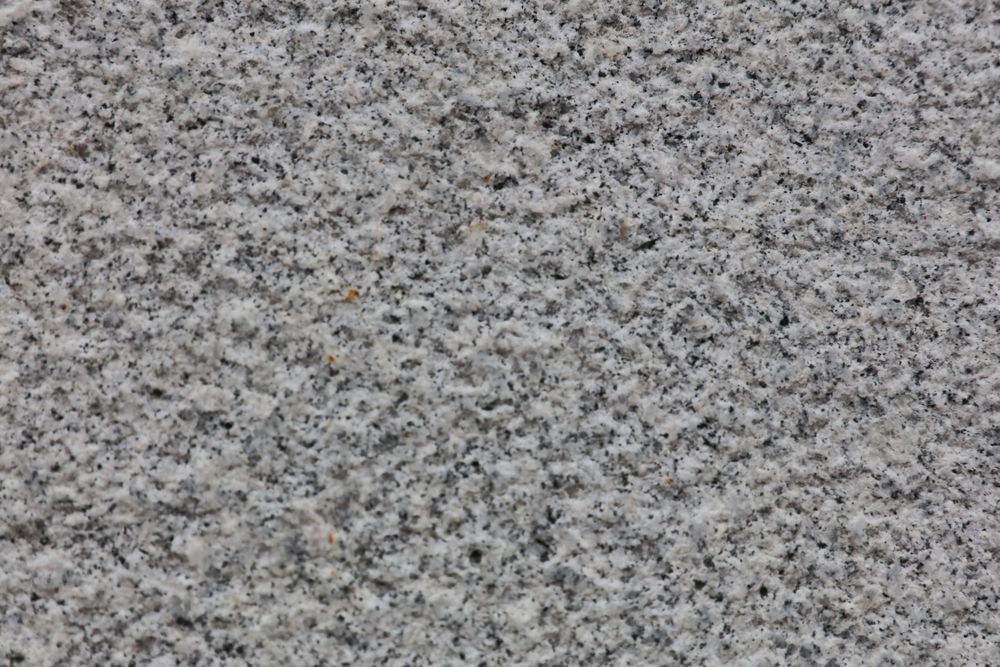 White Sesame — Image 1