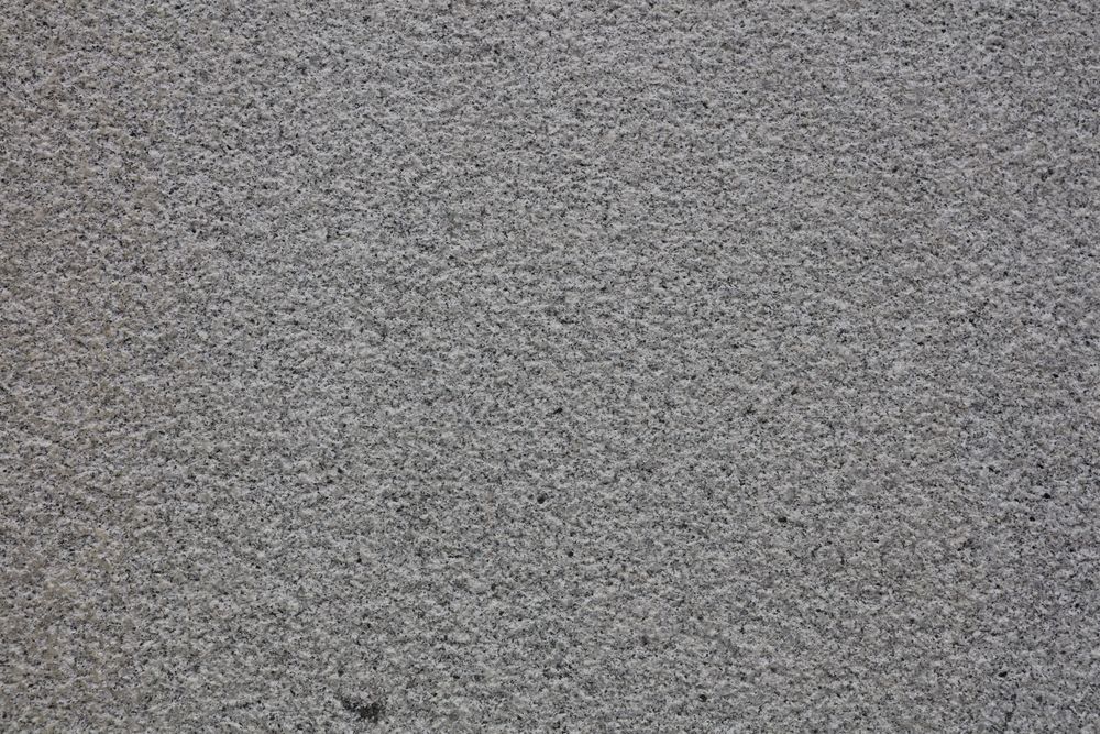 White Sesame — Image 2